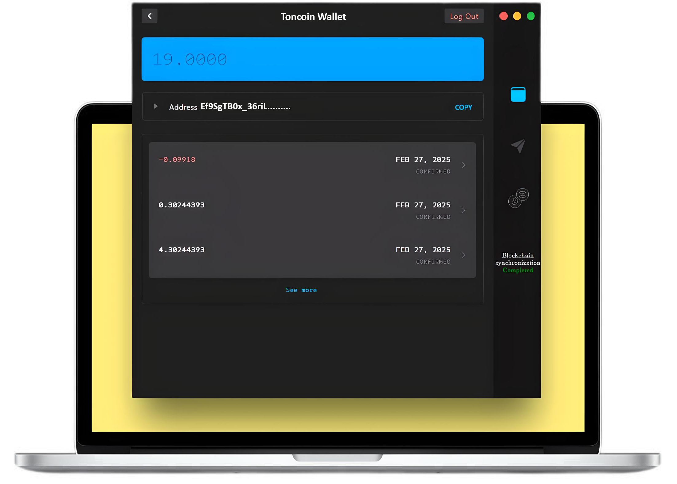 Toncoin wallet online